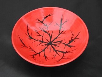 red bowl (ibara)の画像