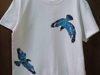 ブッポウソウ Tシャツ adult　/　ブッポウソウの画像