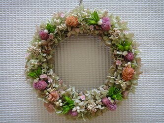 【☆プレゼントに☆】【☆インテリアに☆】グリーン×ロゼ紫陽花＆千日紅のリース【☆限定1個☆】の画像