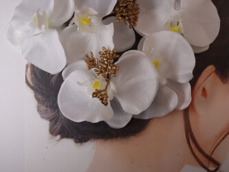 胡蝶蘭とベリーピック　髪飾り　花嫁ヘッドドレス　和装ヘアの画像