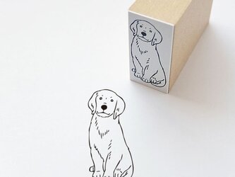 ラバースタンプ　犬の画像