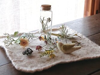 羊毛シート 春の植物標本の画像