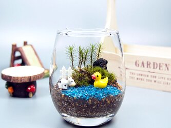 【苔テラリウム・手作りキット一式】ルスプリットの画像