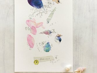 海がくれたもの＊vol.3 zushi beach〜 貝殻カードの画像