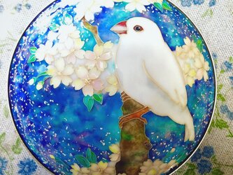 七宝文鳥合子の画像