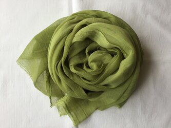 草木染め　コットンショール　コブナグサ　緑の画像