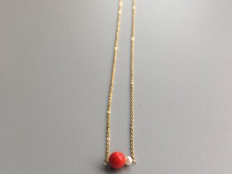 珊瑚（コーラル） | iichi 日々の暮らしを心地よくする