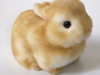 ＜受注制作＞うさぎのぬいぐるみ　ネザーランドドワーフの赤ちゃんの画像