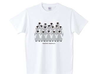 コウテイペンギンのひなたち　半袖Tシャツ／カットソー　フリーサイズ　アパレル／アニマルモチーフの画像