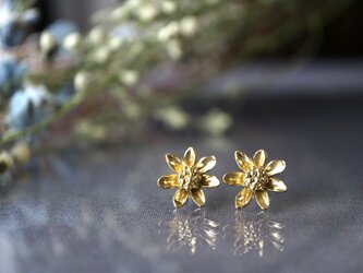 Brass earring 「Wildflower」の画像