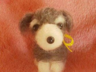 羊毛フェルトハンドメイドシュナウザーの画像