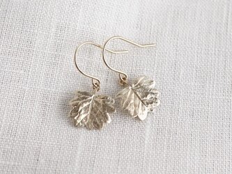 Barnet leaf earrings [EP068K10]の画像