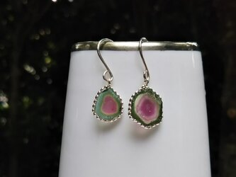 トルマリン　ウォーターメロンのピアス SV925