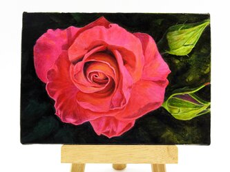 アクリル画「薔薇」redrose 原画 送料無料の画像