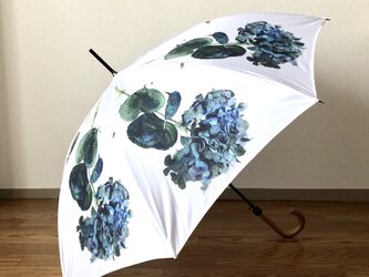 ターコイズウォータードロップの雨傘の画像