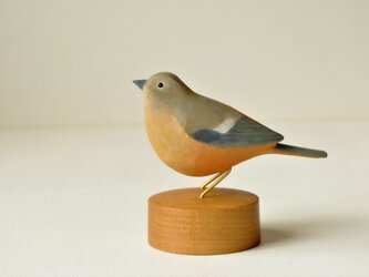 コウちゃん様リクエスト分　ジョウビタキ（メス）着色の画像