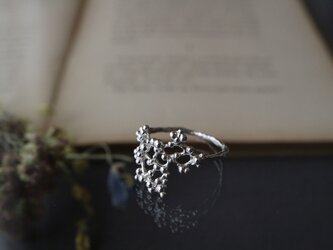 Silver ring「Summer constellation」の画像