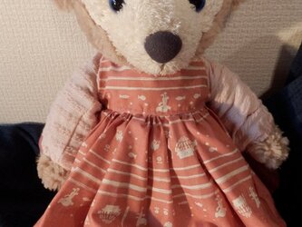 くまちゃん　普段着の画像