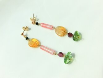 fruit dropsの画像