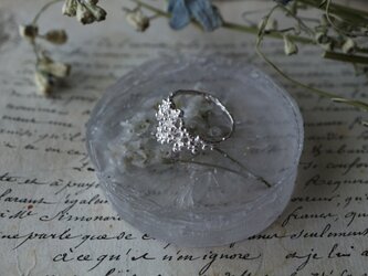 Silver ring「Summer constellation Ⅱ」の画像