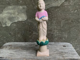 放鳥の画像