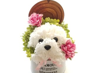 花の犬【白・ミニ】プリザーブドフラワー　カーネーション 動物　ペット　犬　花　母の日 誕生日 お供えの画像