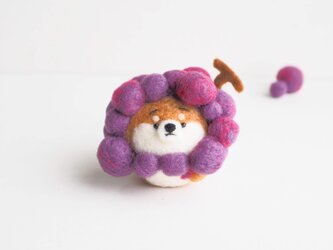 【受注製作】なりきりぶどうのまゆ柴犬(赤柴・黒柴・白柴)　羊毛フェルトの画像