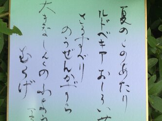 なつのこのへんの画像