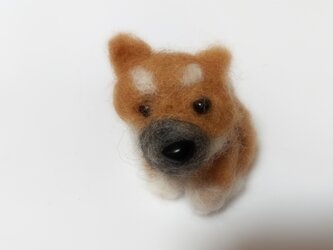 受注販売　羊毛フェルト　柴犬の画像