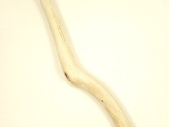 【温泉流木】白肌の曲がり太枝流木 流木素材 インテリア素材 木材の画像