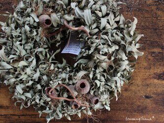 [callistemon] wreath　　カリステモンのリース　　ベルガムナッツ　　ドライフラワーリース　の画像