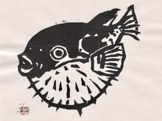 ふぐの画像