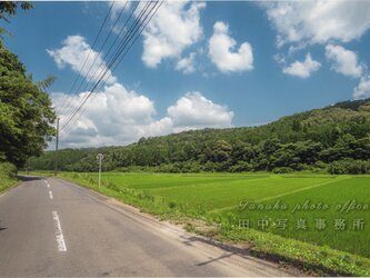田園風景と道(A4サイズ) LP0509-A3の画像