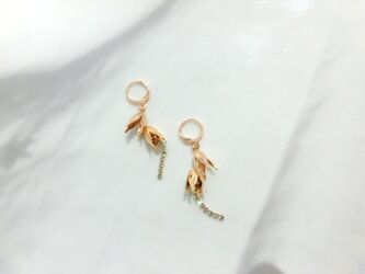 bellflowerの画像