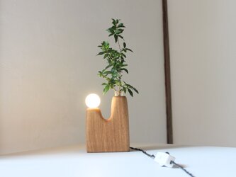木の花瓶ランプ【タモ】の画像