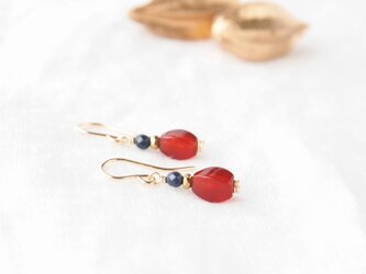 Twist Rice Pierce（レッドアゲート×デュモルチェライト）-14KGF-の画像