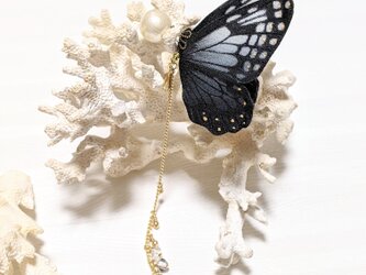 【ダークシリーズ】蝶のピアス（アサギマダラ）の画像