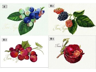 「果実１～４番」アートカード選べる２枚セット（はがきサイズ）の画像