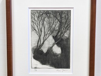冬の虚像 No.5〜銅版画〜の画像