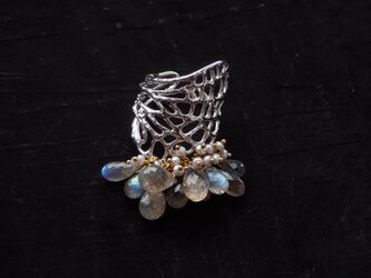 mariposa labradorite ringの画像