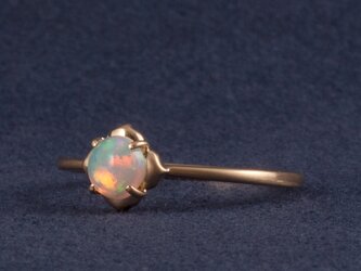 Frame ring / Opalの画像