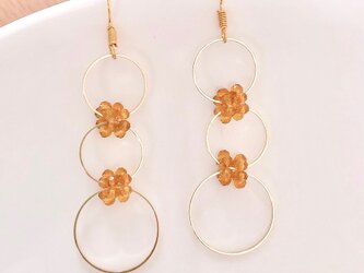 フープピアス&イヤリングの画像