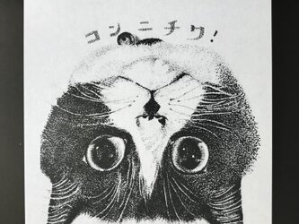 コンニチハ！＆まどろみ　(ポストカード)の画像