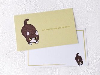 メッセージカードセット（子猫マスタード）の画像