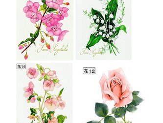 「桜・鈴蘭・薔薇・クリスマスローズ」アートカード選べる２枚セット（はがきサイズ）の画像