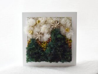 商品番号710「クリスマスツリー」プリザーブドアートフレームの画像