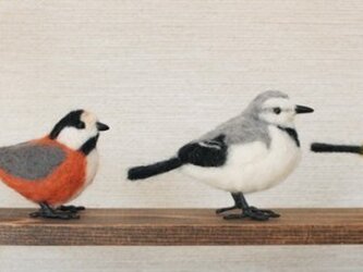羊毛フェルト　小さな野鳥セットの画像