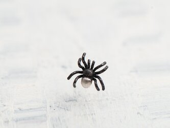 ちいさな蜘蛛のシングルピアス / おしりシロの画像