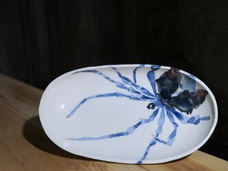 楕円大皿(11-)の画像