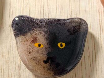 【usuislabo】glass cookies - サビ猫の画像